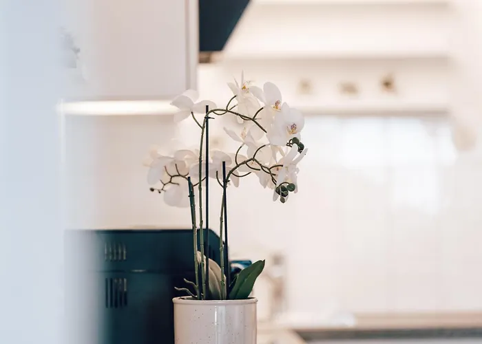 Haus Astrid Τσελ αμ Ζέε